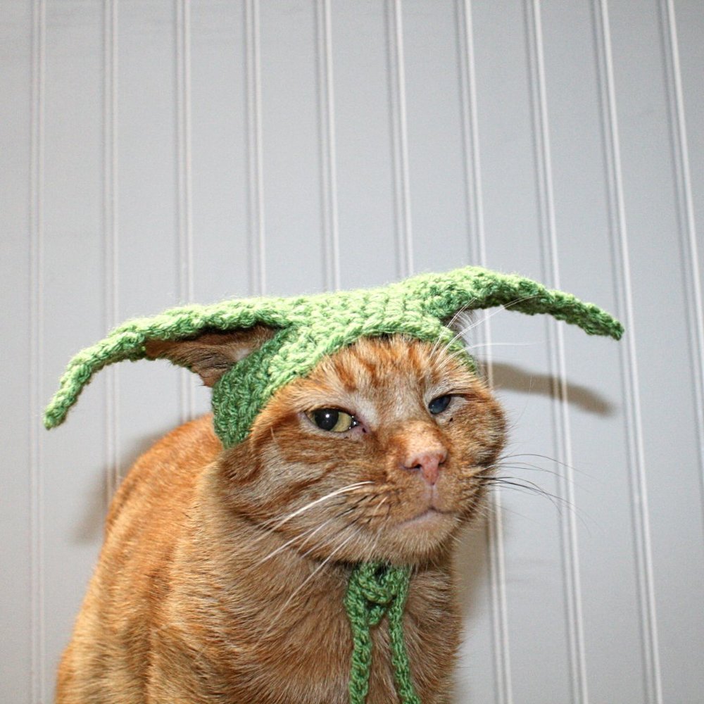 HAND CRAFTED Baby Yoda Mandalorian Crochet Cat Hat Wig Ears Costume Photo Prop - Picture 3 of 10